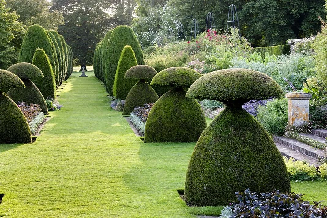 Rzeźby z roślin – jak stworzyć zachwycające topiary w ogrodzie Rzeźby z roślin – jak stworzyć zachwycające topiary w ogrodzie
