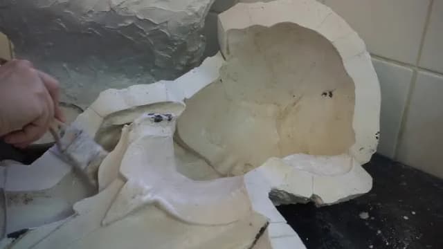 Rzeźby gipsowe: historia, style i jak stworzyć własne dzieła Rzeźby gipsowe: historia, style i jak stworzyć własne dzieła